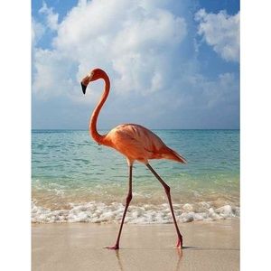 Meet your Posher, Makenzie and